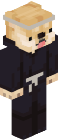 TheRoyalGamers's Minecraft skin