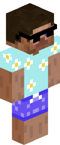 Twitr's Minecraft skin
