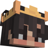 falcowx2w