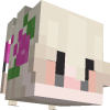 Racconindude